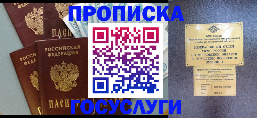 прописка гарантия в Завитинске